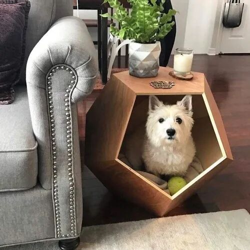 Pet House