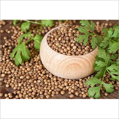 coriander seeds