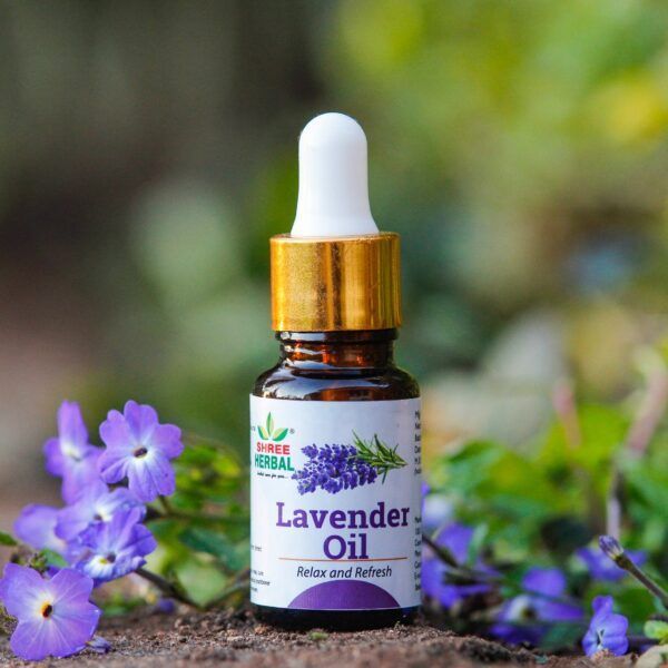 10ml SHREE Lavender Oil, for Pharmas, Cosmetics, Form : Liquid