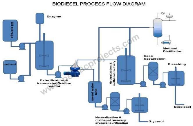 Bio Diesel Plant