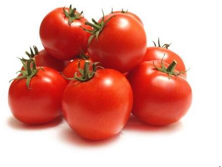 Organic fresh tomato, Style : Natural