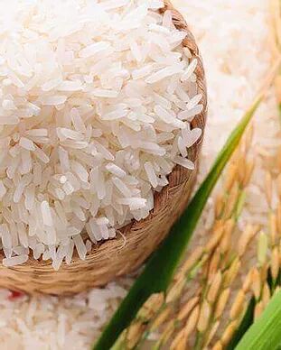 Organic non basmati rice, Variety : Medium Grain