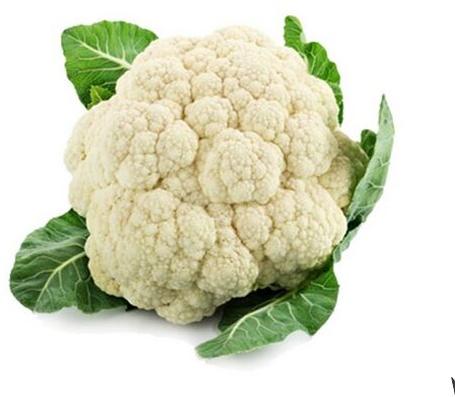 Organic Fresh Cauliflower, Packaging Type : Jute Bag, Plastic Bag