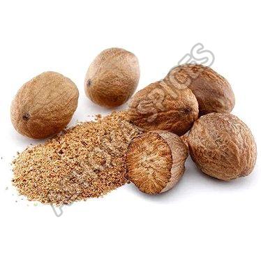 Indian Nutmeg, Color : Medium Dark Brown