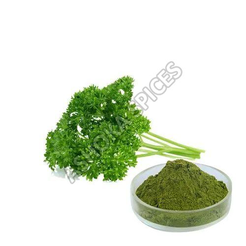 Green Organic Parsley Powder, for Cooking, Grade : Food Grade