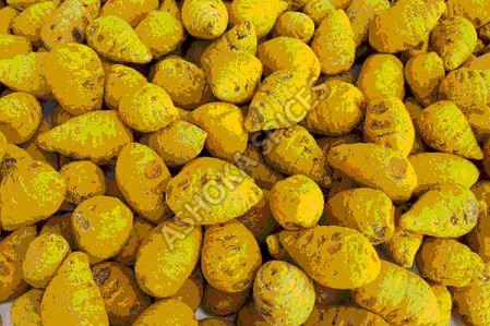 Turmeric Bulb, Color : Yellow