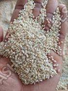 White Hulled Sesame Seeds, for Cooking, Purity : Upto 99.98%