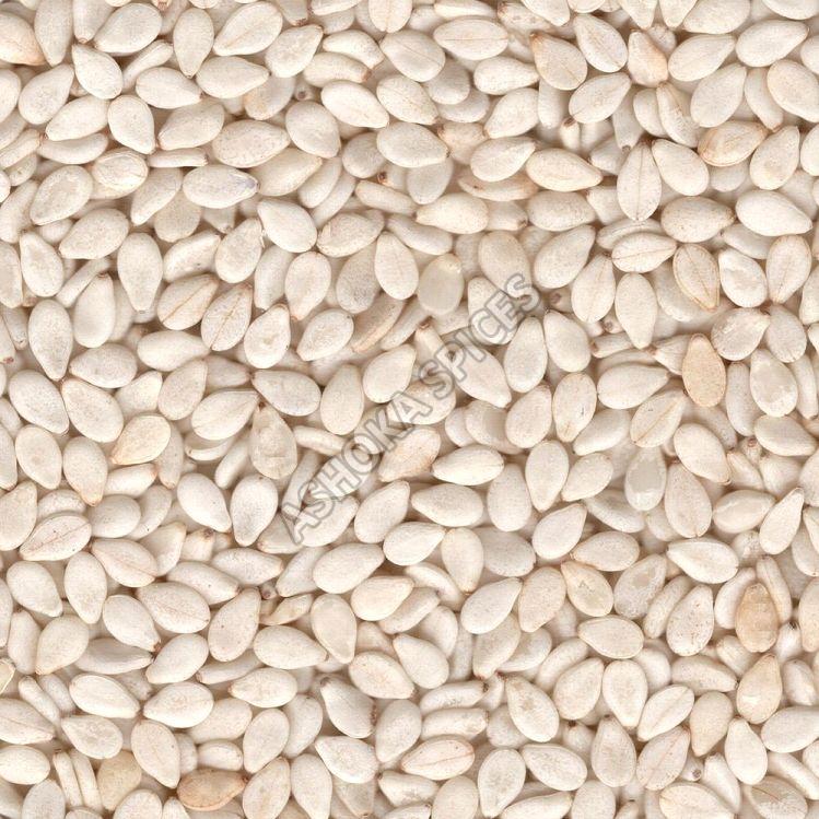 White Sesame Seeds For Oil Extraction