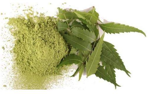 Organic Herbal Neem Leaf Powder, Shelf Life : 9months