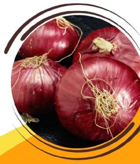 Natural Onion, For Fast Food, Cooking, Taste : Goods