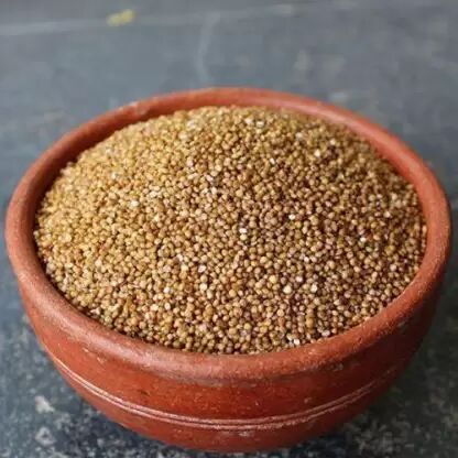 Natural Kodo Millet Seeds, for Cattle Feed, Cooking, Packaging Type : Plastic Bag