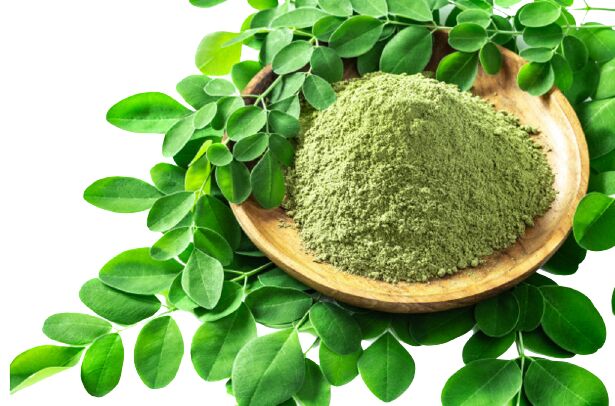 Moringa Products, Color : green