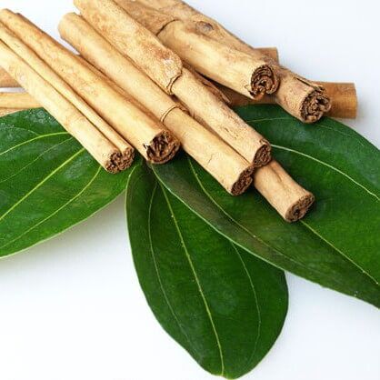 Cinnamon Leaf Essential Oil