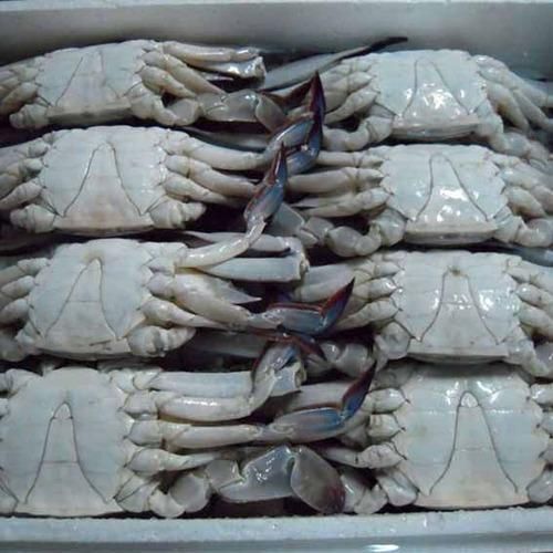 Frozen Crabs