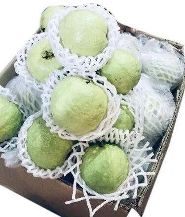 Thai Guava, Packaging Size : 1kg