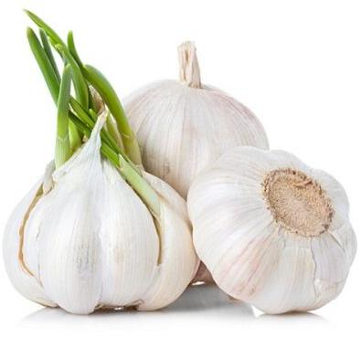 Garlic Oil, for Ayurvedic, Foods, Form : Liquid