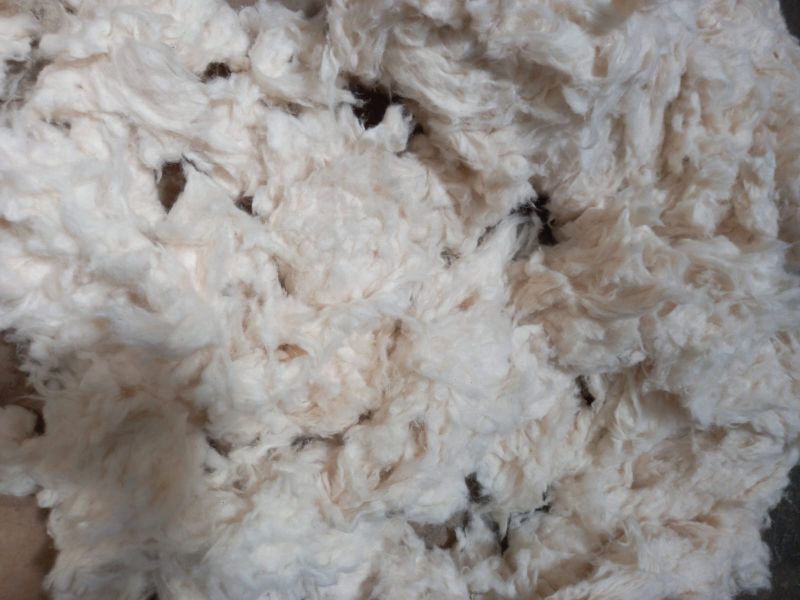 White cotton comber waste