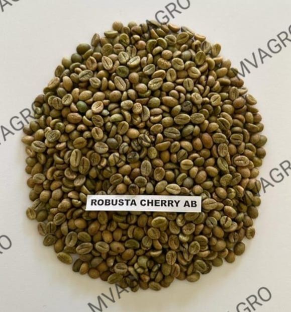 Robusta Cherry Ab Unwashed Screen Green Coffee Beans