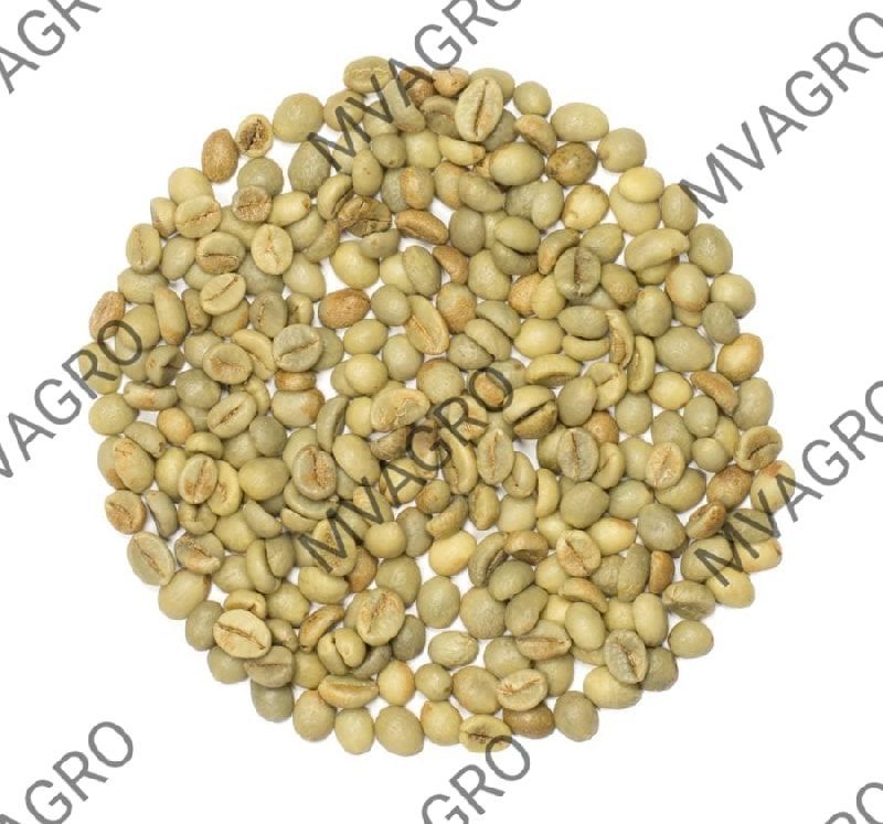 Robusta Cherry Bulk Green Coffee Beans