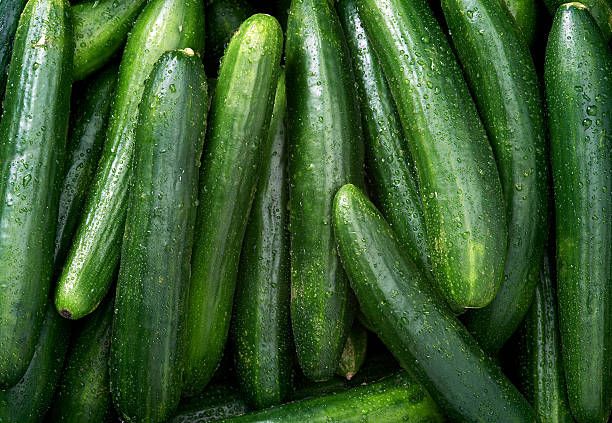 Oval Organic cucumber, Color : Dark Green