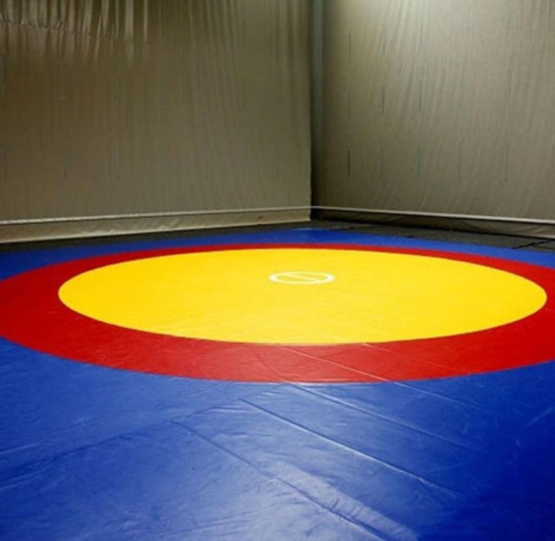 Printed PVC wrestling mat, Size : 12by 12 meter