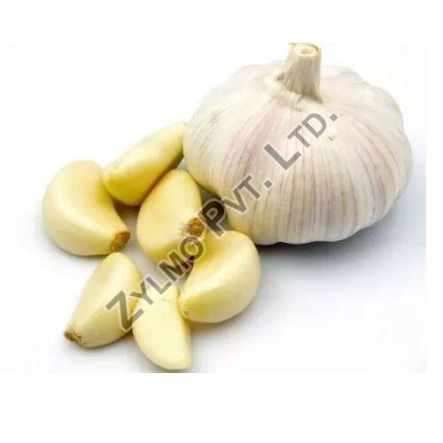 Common fresh garlic, for Cooking, Fast Food, Feature : Dairy Free, Gluten Free, Moisture Proof, Natural
