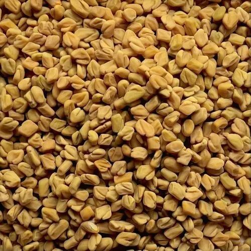 Fenugreek seeds, Packaging Type : PP Bag