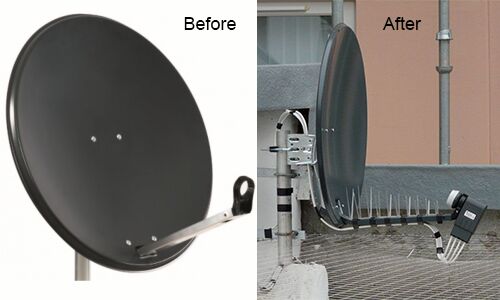 Bird Dish Antenna Deterrent Services