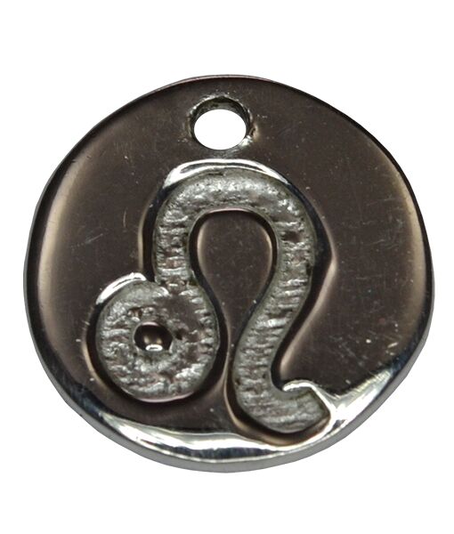 Sterling Silver LEO Charm