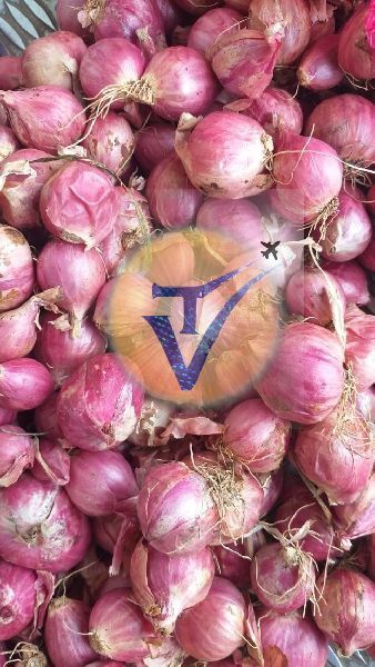 Tamilnadu small onion