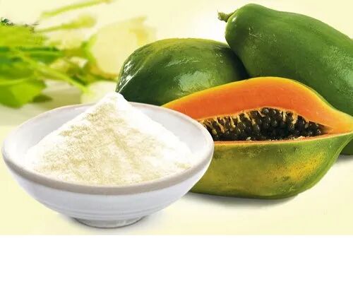 Papaya Juice Powder, Packaging Type : Carton