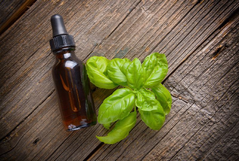 Basil Essential Oil, for Medicine Use, Personal Care, Feature : Blemish Clearing, Callus Remover, Firming