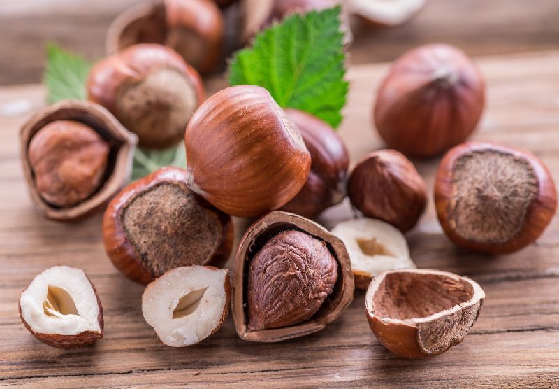 Hazelnuts, for Dishes, Edible, Making Oil, Snack, Certification : FSSAI Certified