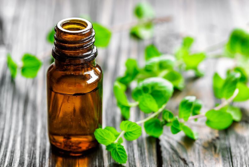 Mentha Essential Oil, for Medicine, Packaging Type : Glass Bottles