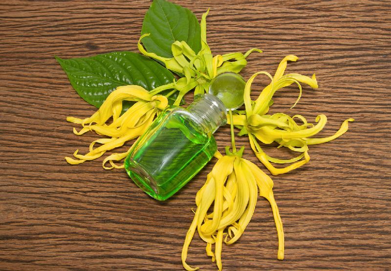 Flowers Ylang-ylang Ylang Ylang Essential Oil, Feature : Improve Hair-shaft Width