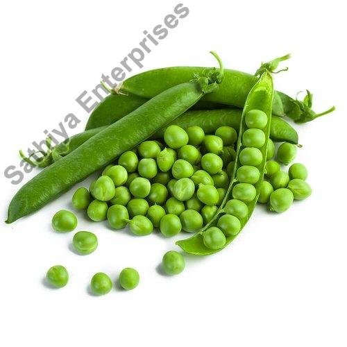 Organic Fresh Green Peas, for Good Nutritions, Good Health, Packaging Type : Plastic Packet, Gunny Bag