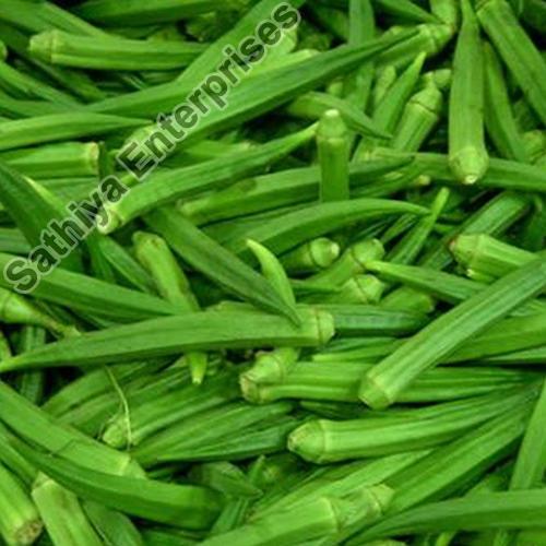 Organic Fresh Lady Finger, for Good Nutritions, Good Health, Packaging Type : Plastic Packet