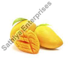 Organic fresh mango, Color : Yellow