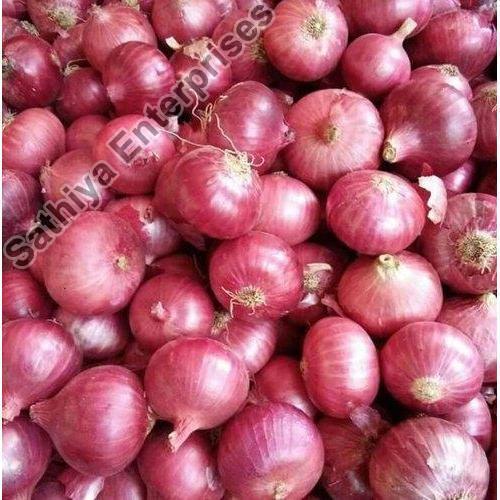 Fresh onion, Shelf Life : 15-30days