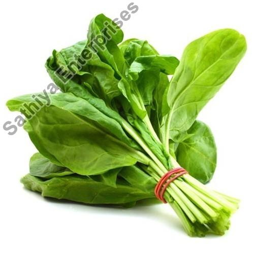 Fresh Spinach