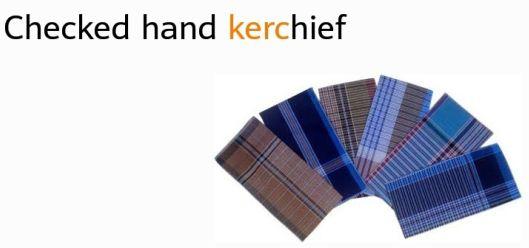 Checked Hand Kerchief