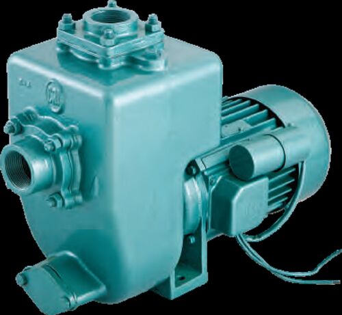 Cast Iron CRI Monoblock Pump, Power : 0.75 kW