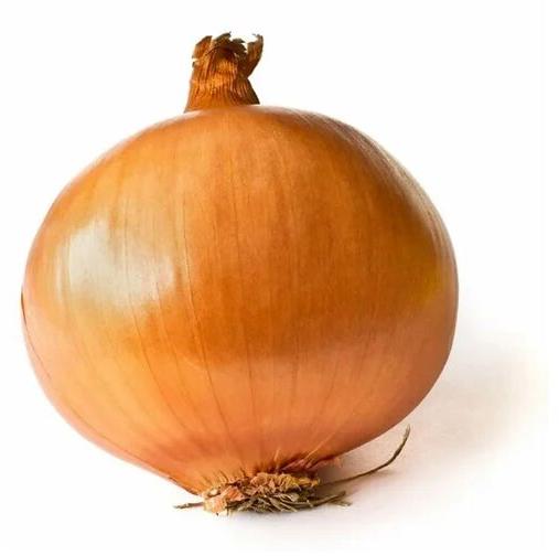 Brown Onion, Packaging Type : Loose