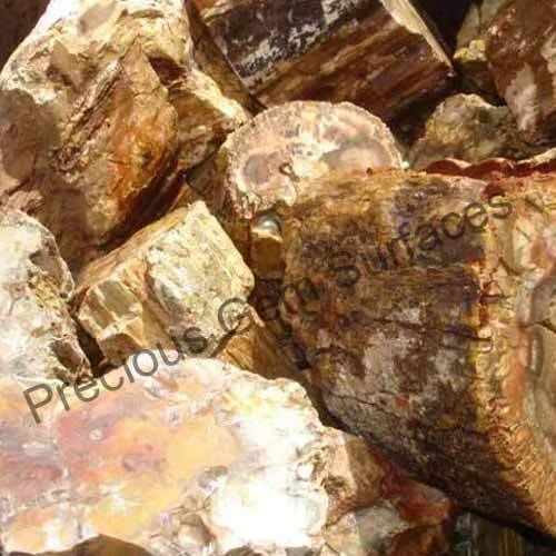 Petrified Wood