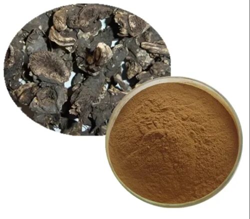 Black Cohosh Extract, Packaging Type : HDPE Drum