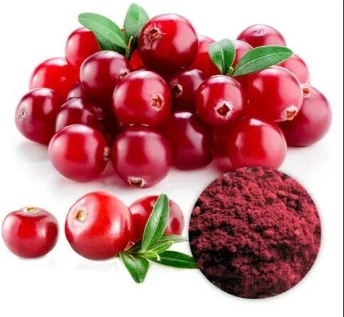 Ayusgagro Food Cranberry Extract, Packaging Size : 25kg