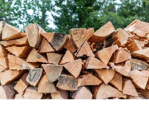 Cutting Fire Wood, Packaging Type : Loose