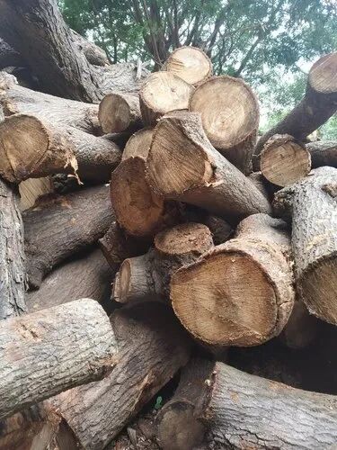 Teak Firewood Log, Packaging Type : Loose