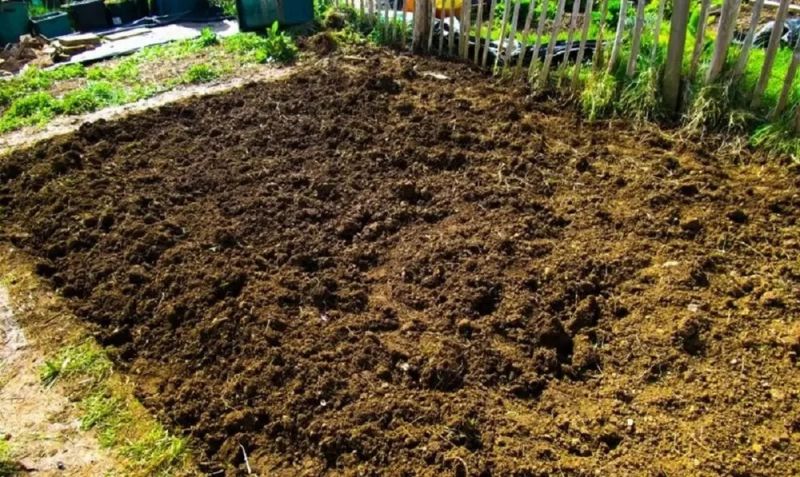 Brown Pure Cow Dung, for Agriculture