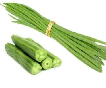 Green Natural Fresh Drumstick, for Cooking, Packaging Size : 10 Kg